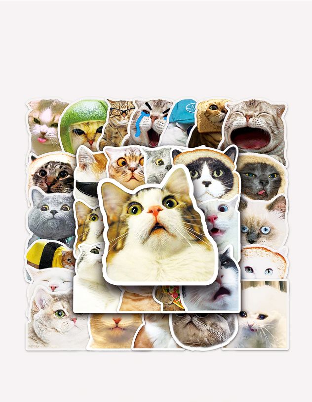 Наліпки з зображенням котиків | 261603-21-XX - A-SHOP