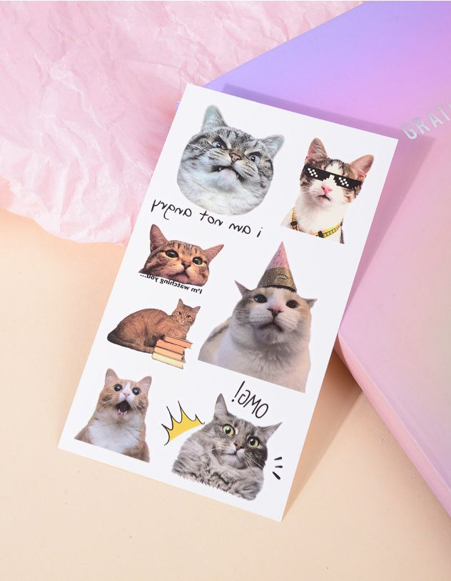 Татуювання тимчасове з зображенням котика | 266250-11-XX - A-SHOP