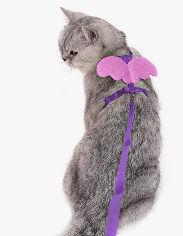 Повідець для кота з крилами | 248134-03-XX - A-SHOP