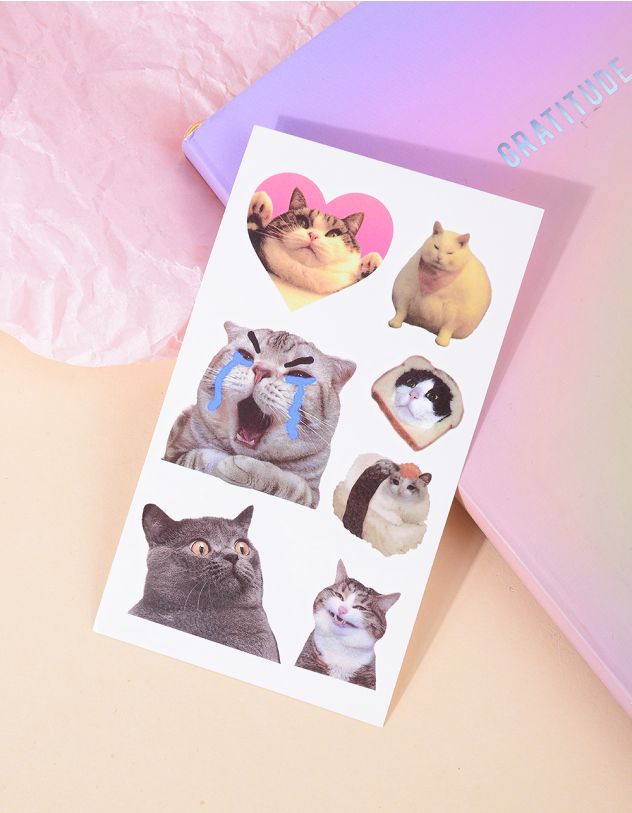 Татуювання тимчасове з зображенням котика | 266250-14-XX - A-SHOP