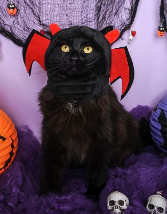 Шапка для котика у вигляді крил вампіра | 251068-02-XX - A-SHOP