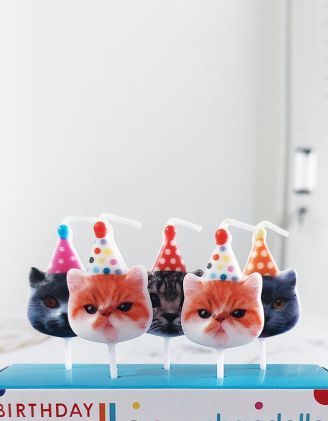 Свічки у наборі з зображенням котика | 266686-21-XX - A-SHOP