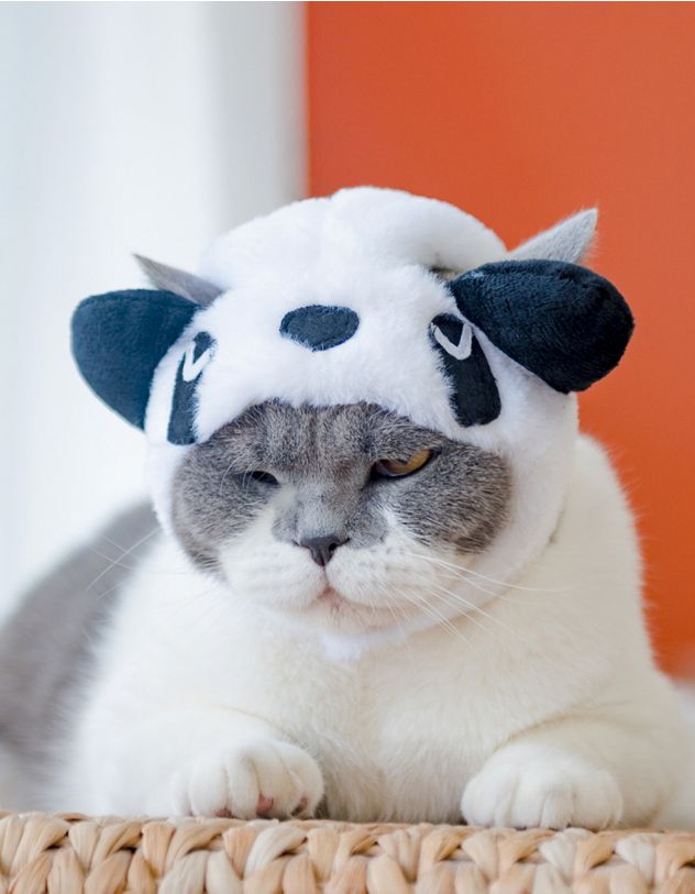 Шапка для котика з зображенням панди | 254123-01-XX - A-SHOP