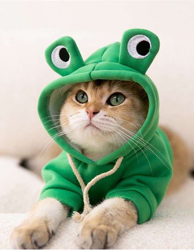 Одяг для котика у вигляді жабки | 255828-20-XX - A-SHOP