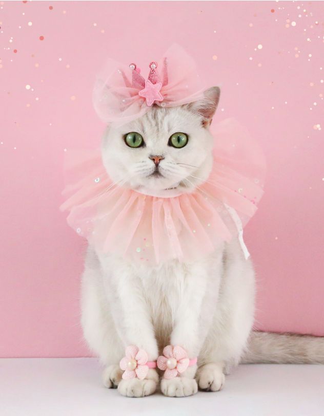 Набір одягу для котиків з квітками | 258040 - A-SHOP